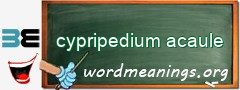 WordMeaning blackboard for cypripedium acaule